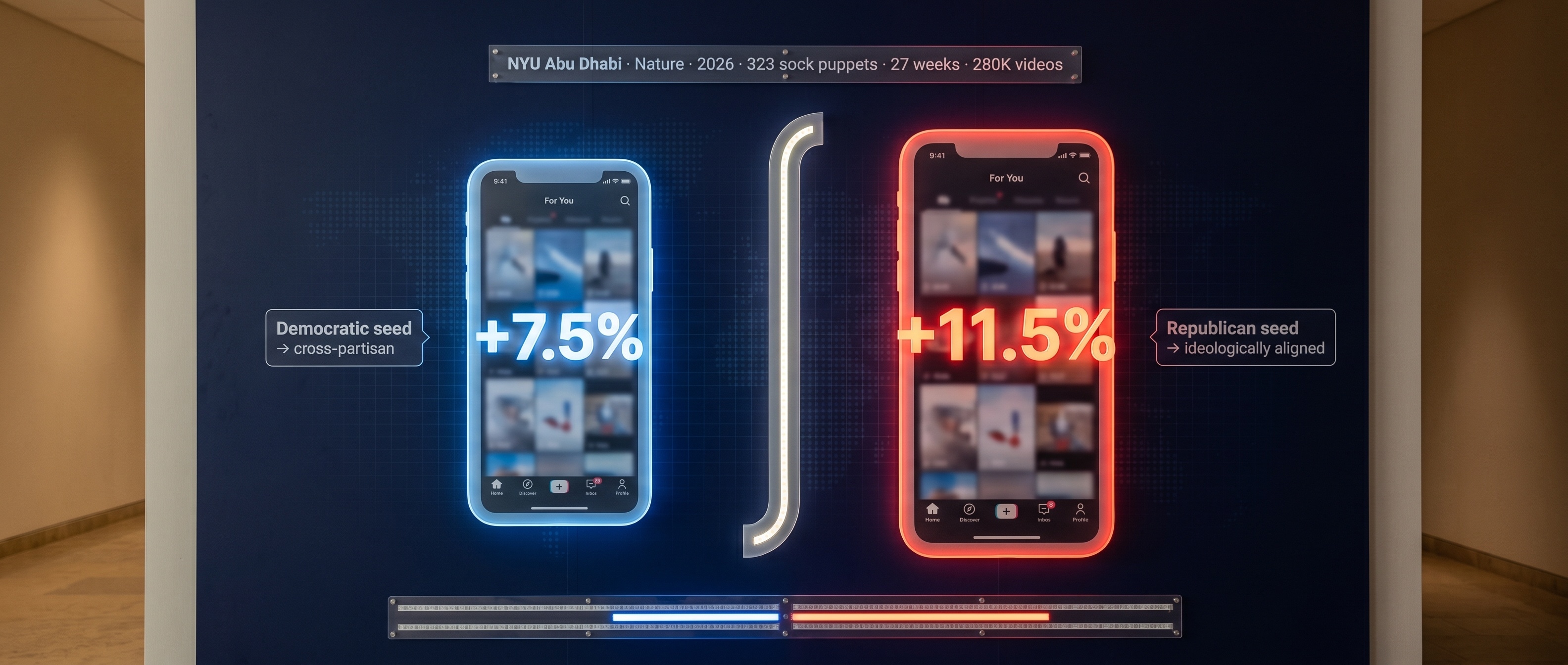 TikTok 알고리즘 11.5% 비대칭 시각화