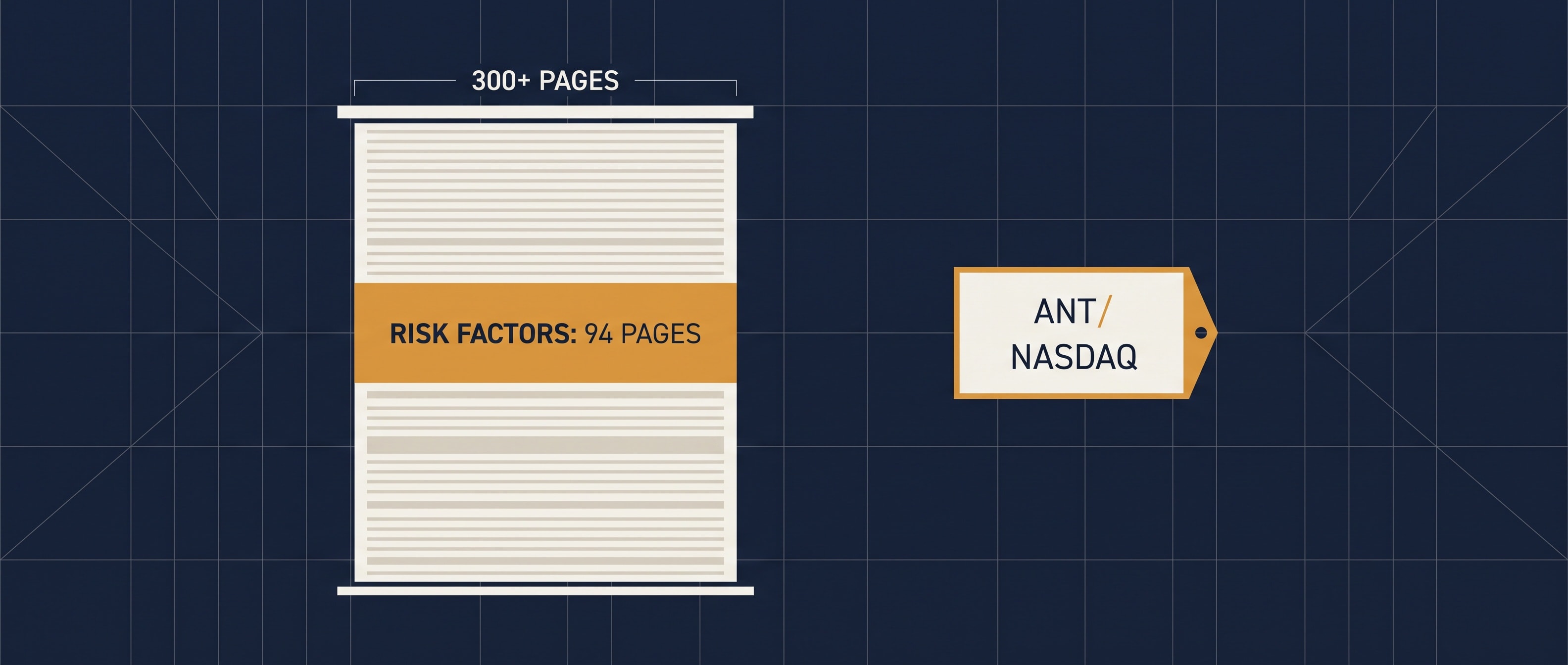 300쪽이 넘는 문서를 세로로 쌓은 막대에서 94쪽 분량이 RISK FACTORS 로 칠해진 인포그래픽, 옆에 ANT · NASDAQ 표기